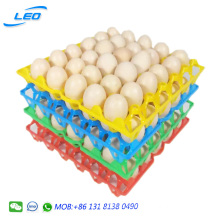 wholesale plastic egg tray for chicken eggs with high quality